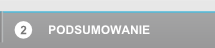 Podsumowanie